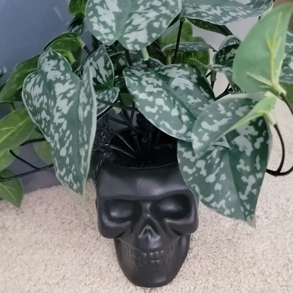 New 2 Ashland Halloween Black and Cream Skull Planters